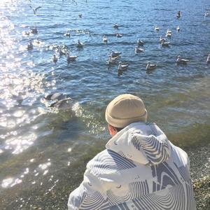 欧美日韩精品在线观看
