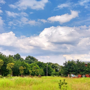 欧美日韩精品在线观看
