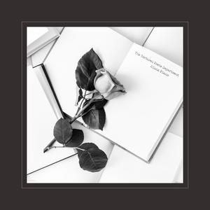 欧美日韩精品在线观看
